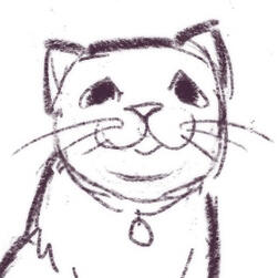 A rough drawing of a chubby cats face. The cat is representative of my own cat, socks.